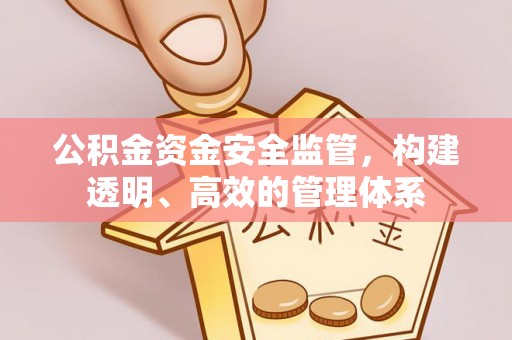莒光公积金资金安全监管，构建透明、高效的管理体系