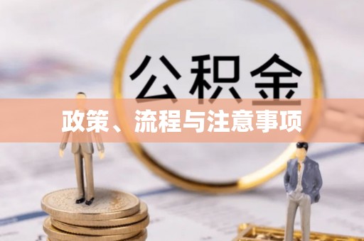莒光政策、流程与注意事项
