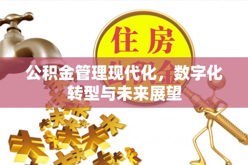 莒光公积金管理现代化，数字化转型与未来展望